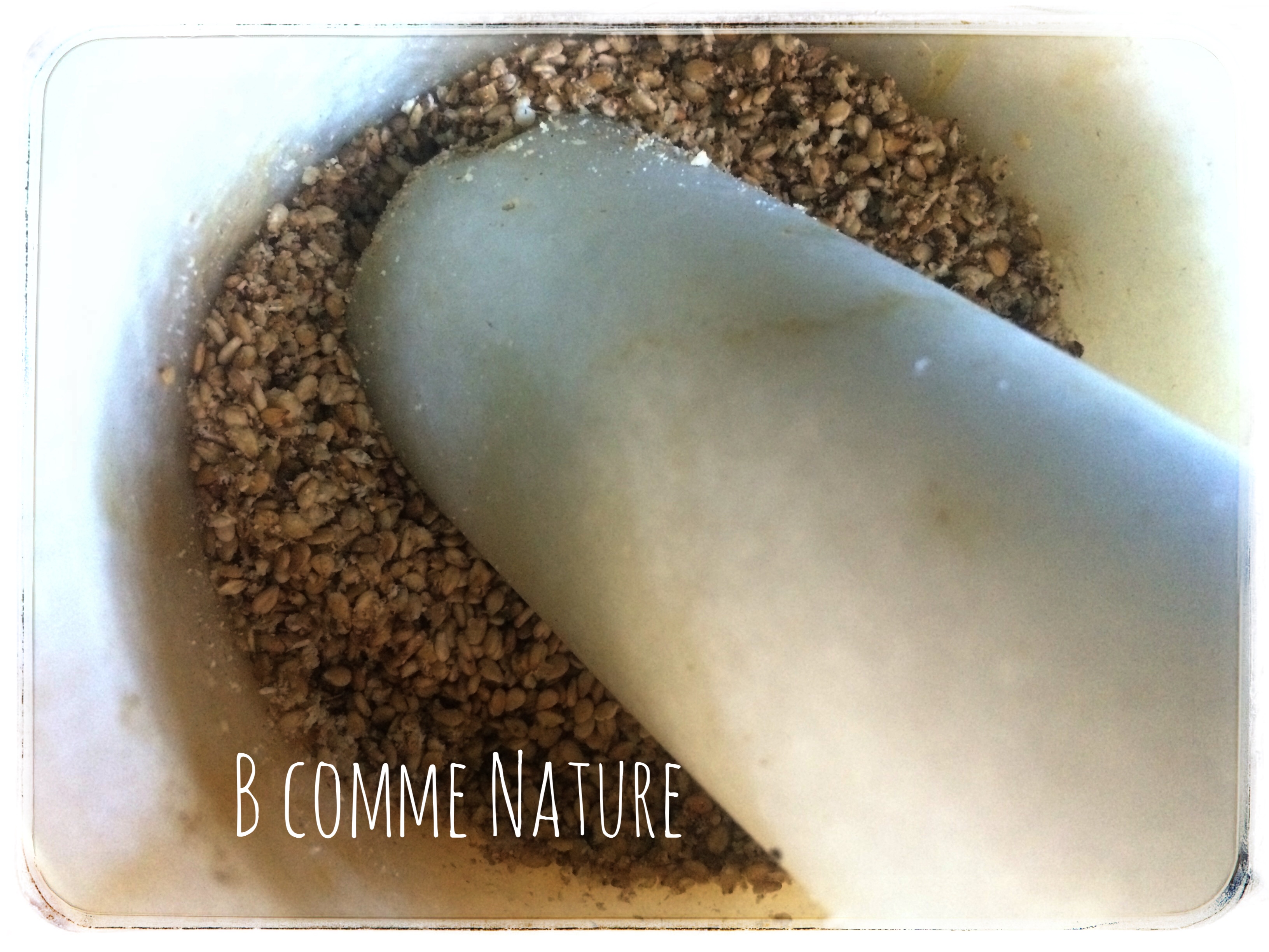 Recette Du Gomasio [traditionnellement Simple] - B Comme Nature